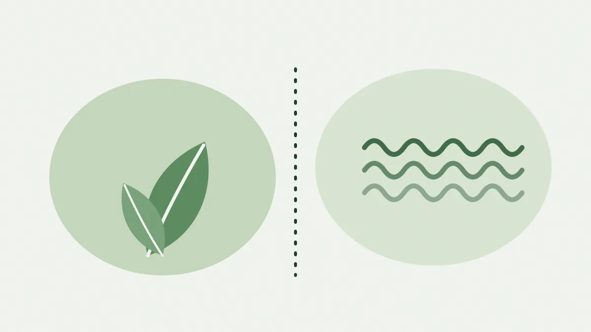 Une feuille verte d'un côté, des vagues vert forêt de l'autre, séparées par un trait pointillé