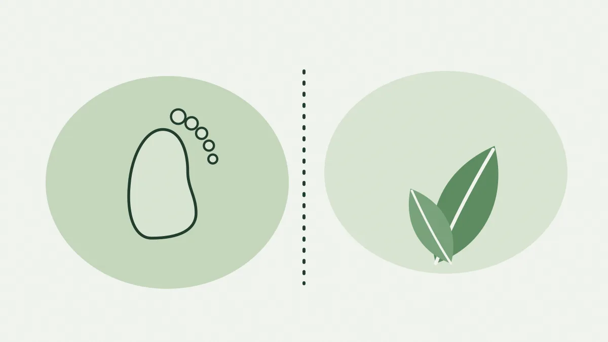 Une empreinte de pied dessinée au trait à côté d'une feuille verte, séparées par un trait pointillé